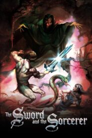 The Sword and the Sorcerer 1982 one on netflix