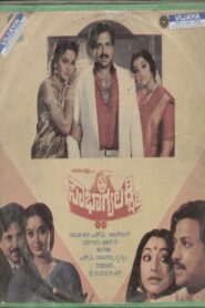 Sowbhagya Lakshmi 1987 one on netflix