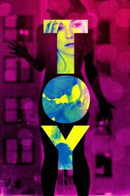 ToY 2015 one on netflix