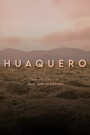 Huaquero 2024 one on netflix