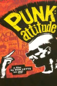 Punk: Attitude 2005 one on netflix
