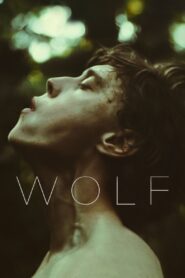Wolf 2021 one on netflix
