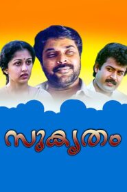 Sukrutham 1994 one on netflix