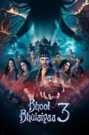 Bhool Bhulaiyaa 3 2024 one on netflix