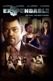 Ex$pendable 2010 one on netflix