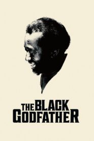 The Black Godfather 2019 one on netflix