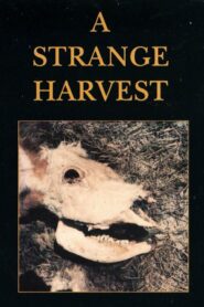 A Strange Harvest 1980 one on netflix