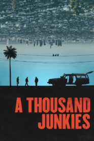 A Thousand Junkies 2017 one on netflix