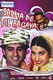 Salma Pe Dil Aa Gaya 1997 one on netflix
