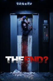 The End? 2017 one on netflix