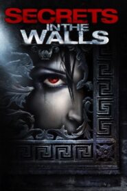 Secrets in the Walls 2010 one on netflix