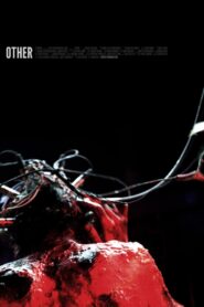 Other 2012 one on netflix