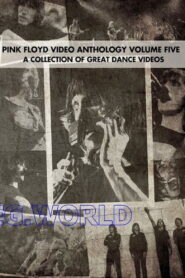 Pink Floyd: Video Anthology Vol. 5 2004 one on netflix