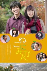 Tangerines on Cat 2014 one on netflix