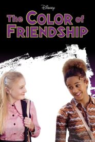 The Color of Friendship 2000 one on netflix
