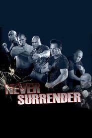 Never Surrender 2009 one on netflix