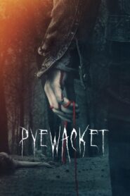 Pyewacket 2017 one on netflix