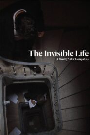 The Invisible Life 2013 one on netflix