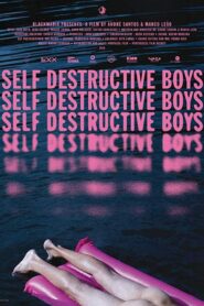 Self Destructive Boys 2018 one on netflix