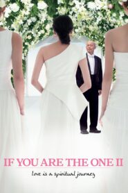 If You Are the One 2 2010 one on netflix
