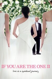 If You Are the One 2 2010 one on netflix