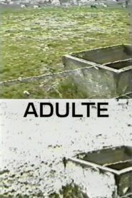 Adulte 1998 one on netflix