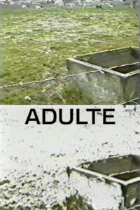 Adulte 1998 one on netflix
