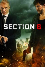 Section 8 2022 one on netflix