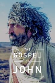 The Gospel of John 2014 one on netflix
