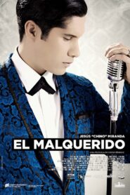 El Malquerido 2015 one on netflix