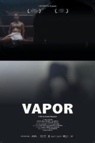 Steam 2010 one on netflix