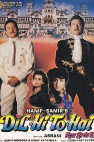 Dil Hi To Hai 1992 one on netflix