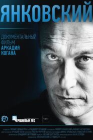 Yankovsky 2015 one on netflix