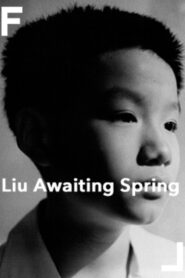 Liu Awaiting Spring 1998 one on netflix