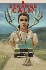 A Strange Calm 2020 one on netflix