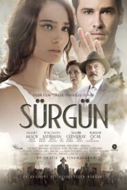 Sürgün 2013 one on netflix