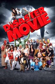 Disaster Movie 2008 one on netflix