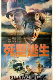 Si li tao sheng 1988 one on netflix