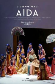 Aida 2015 one on netflix