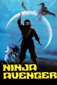 Impossible Woman 1983 one on netflix