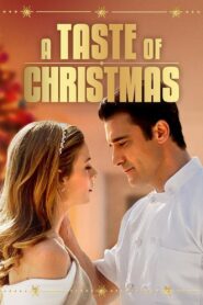 A Taste of Christmas 2020 one on netflix