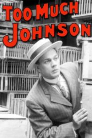 Too Much Johnson 2013 one on netflix