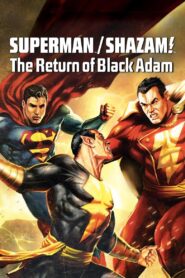 Superman/Shazam!: The Return of Black Adam 2010 one on netflix