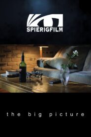 The Big Picture 2000 one on netflix