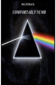 Pink Floyd – Comfortably Numb 2005 one on netflix