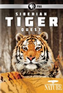 Siberian Tiger Quest 2012 one on netflix