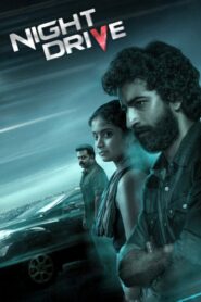Night Drive 2022 one on netflix