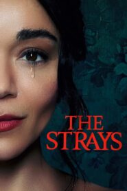 The Strays 2023 one on netflix
