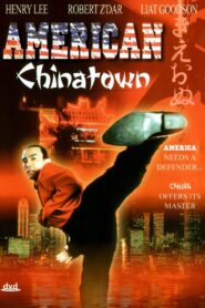 American Chinatown 1993 one on netflix