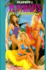 Playboy: Playmates in Paradise 1992 one on netflix
